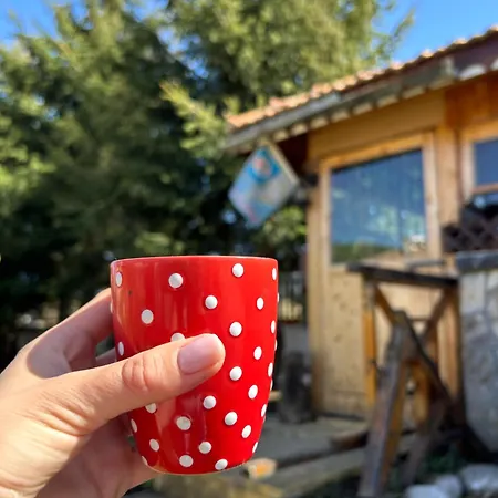 Rila Gasthuis Govedartsi